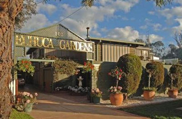 Echuca Gardens Otel Dış mekan fotoğraf
